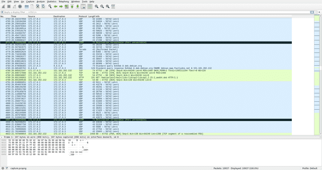 UDP packets in the packet capture