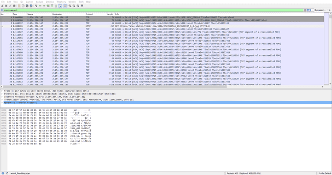 Analysis in Wireshark